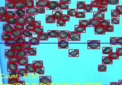 塑料粒子AI视觉高速检测解决方案