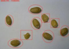 基于摄像头的AI视觉识别，跟踪，报警，推送